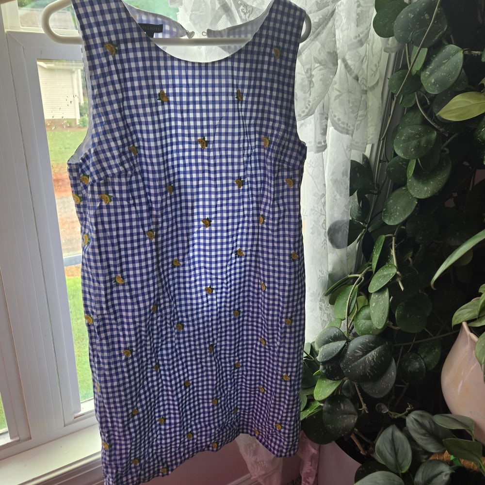 Spring SummerTalbots Blue and White Gingham Dress with Floral Lemons Embroidery.